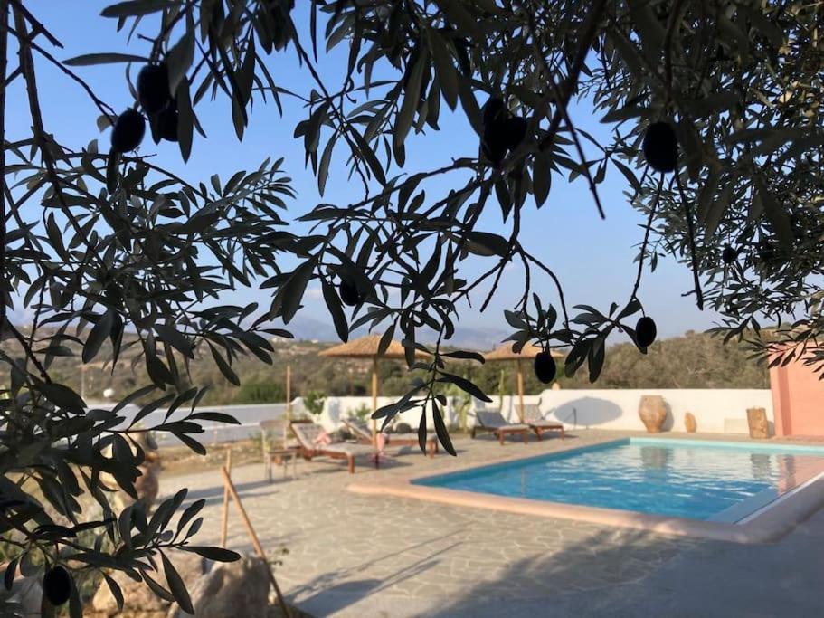 Villa Louloudia Stylish Luxury Villa With Private Pool Pitsidia Extérieur photo