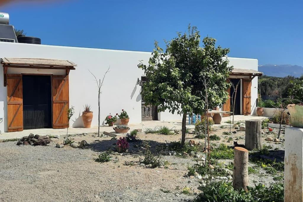 Villa Louloudia Stylish Luxury Villa With Private Pool Pitsidia Extérieur photo